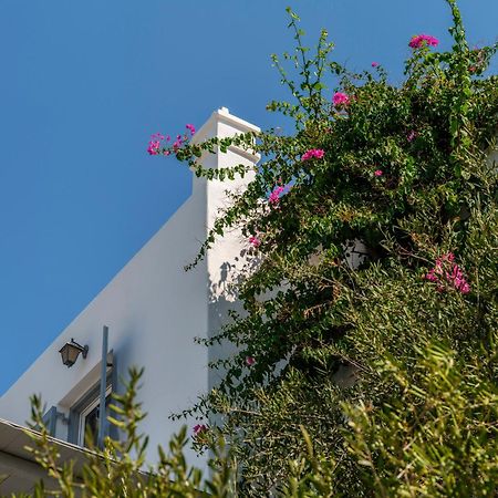 Baybees Sea View Residence Platys Gialos  Ngoại thất bức ảnh